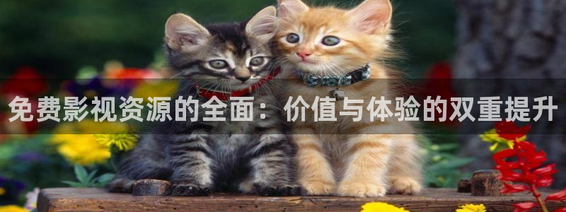 蚂蚁影视黑蚂蚁影视