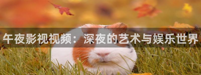 下载黑蚂蚁影院