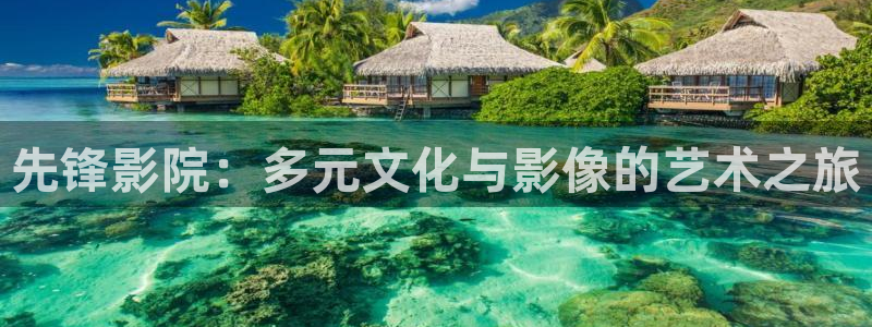 黑蚂蚁电影在线观看