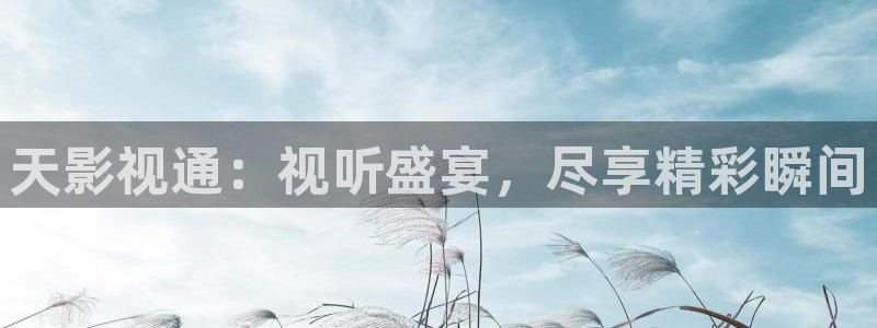 黑蚂蚁影视电视剧官网