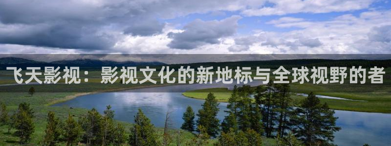 电视剧 黑蚂蚁
