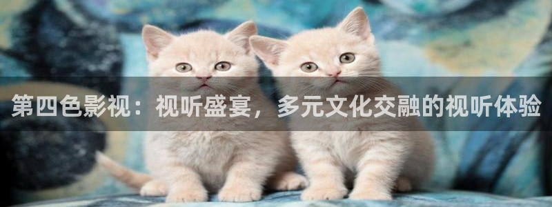 黑蚂蚁短剧网