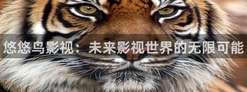 黑蚂蚁影院在线电视剧：悠悠鸟影视：未来影视世界的无限可能