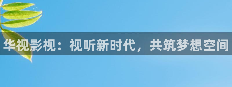 黑蚂蚁电视剧在线观看：华视影视：视听新时代，共筑梦想空间
