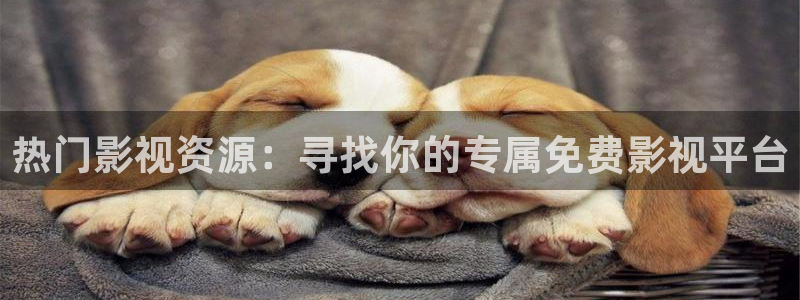 黑蚂蚁影视剧电视剧：热门影视资源：寻找你的专属免费影视平台