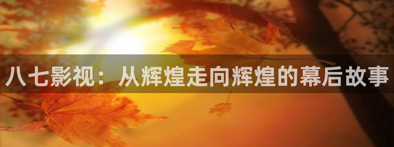 黑蚂蚁影视下载：八七影视：从辉煌走向辉煌的幕后故事