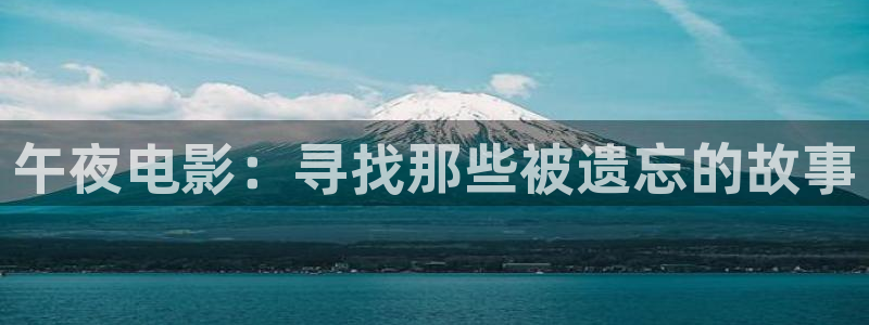 小黑蚂蚁