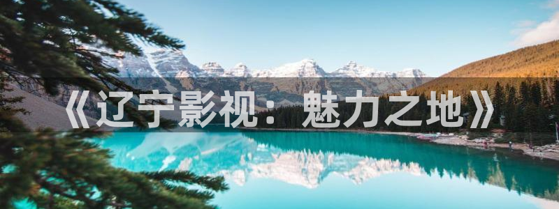 黑蚂蚁影视网站